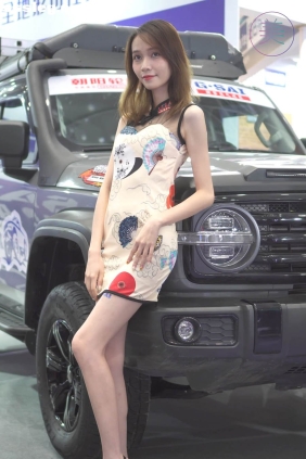THEBEAUTY 2021佛山GTShow改装车展36 [1V460M]