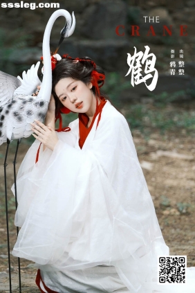 [YITUYU艺图语]2025.02.05 鹤 整整[22P285M]