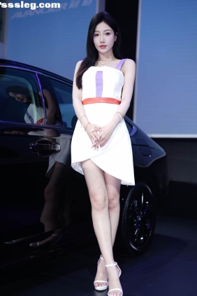 2025深圳粤港澳大湾区车展图集[2316P15.3G]