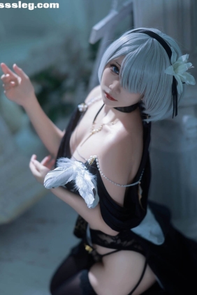 Month月一 尼尔机械纪元 2B[16P56M]